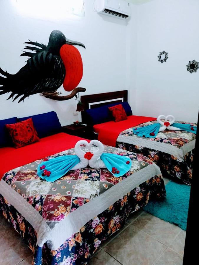 Suite Galarous Island Puerto Ayora  Exterior photo